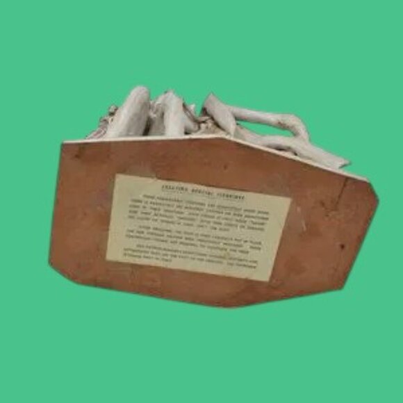 Vintage Dino Bencini Dirty Dr. Sculpture Signed Hand Crafted - Picture 8 of 13